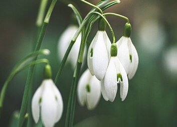 Křesťanský optimismus je optimismus velikonoční.